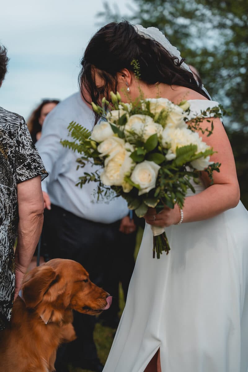 Wedding couple with their dog on the wedding day