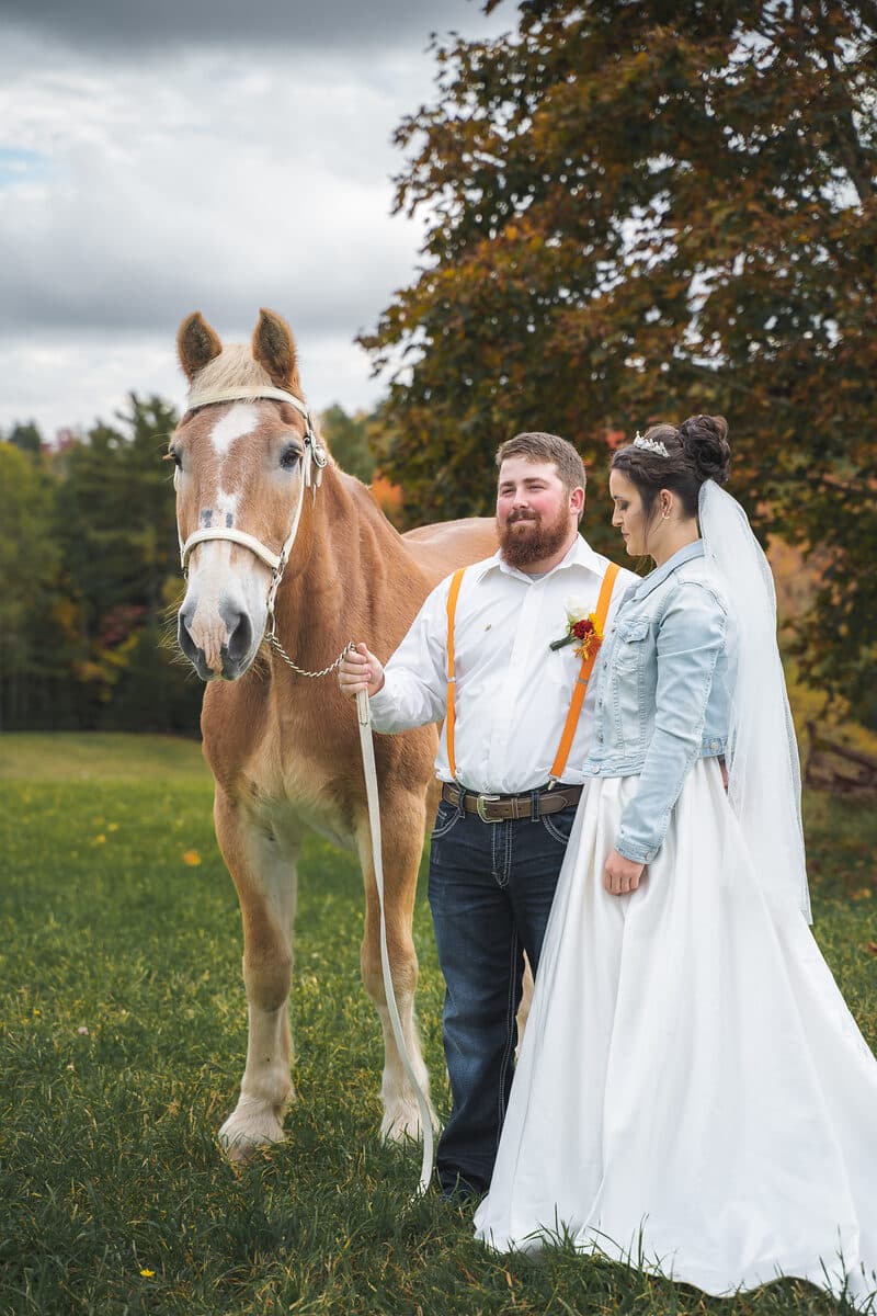 Bride and groom with a horse at a countryside Nova Scotia wedding