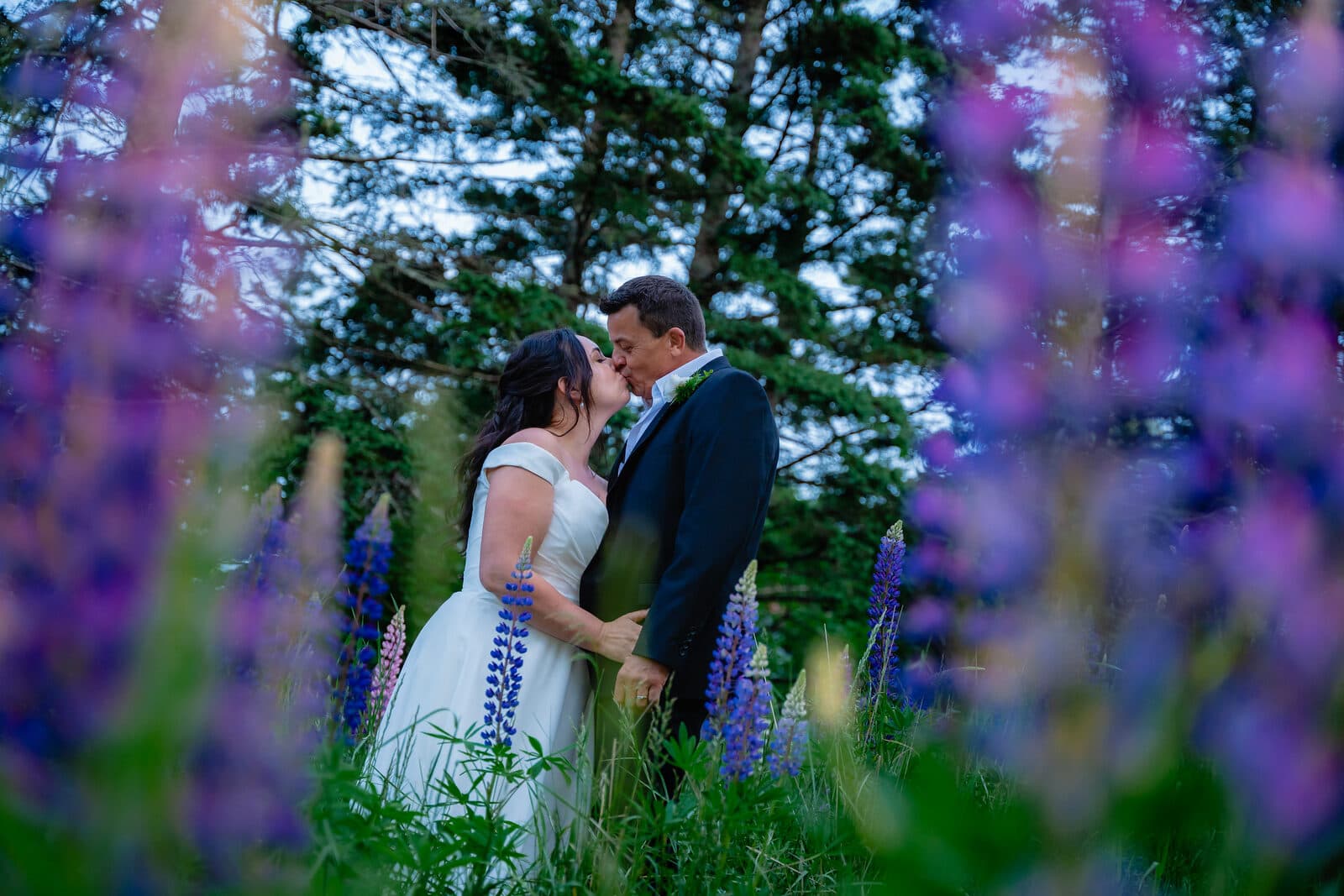 Bride and groom kissing in a lupin field during golden hour, Nova Scotia wedding
