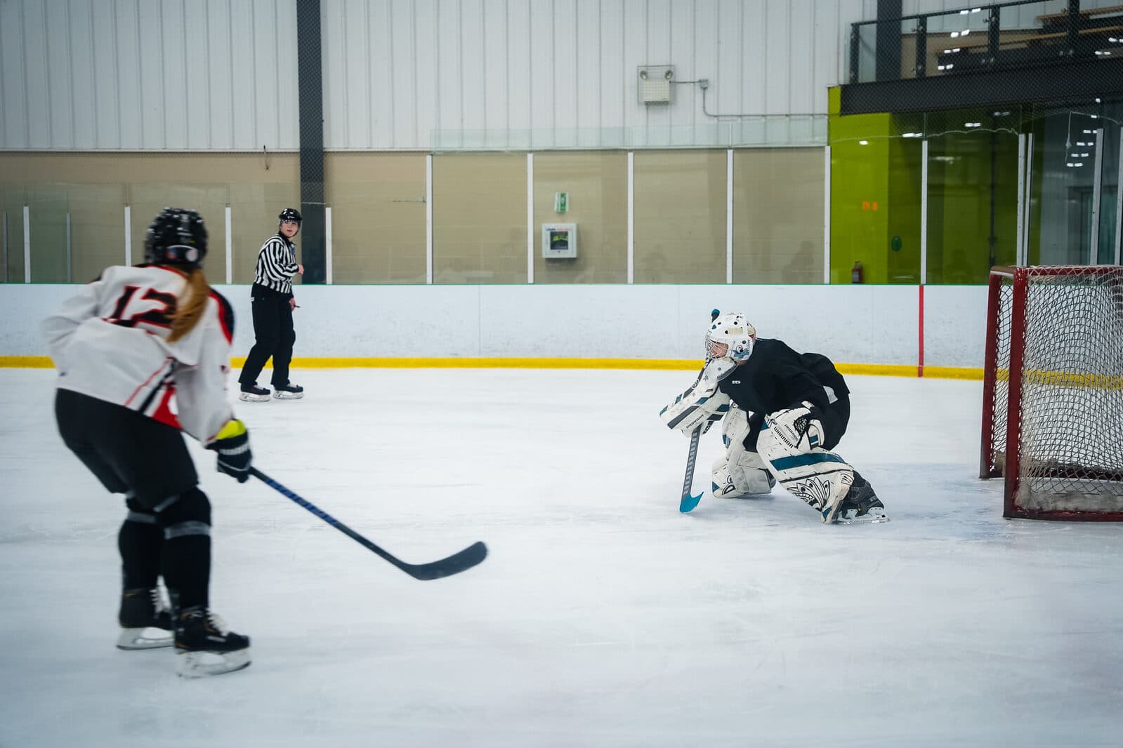 Ice hockey action photography in a Maritime arena