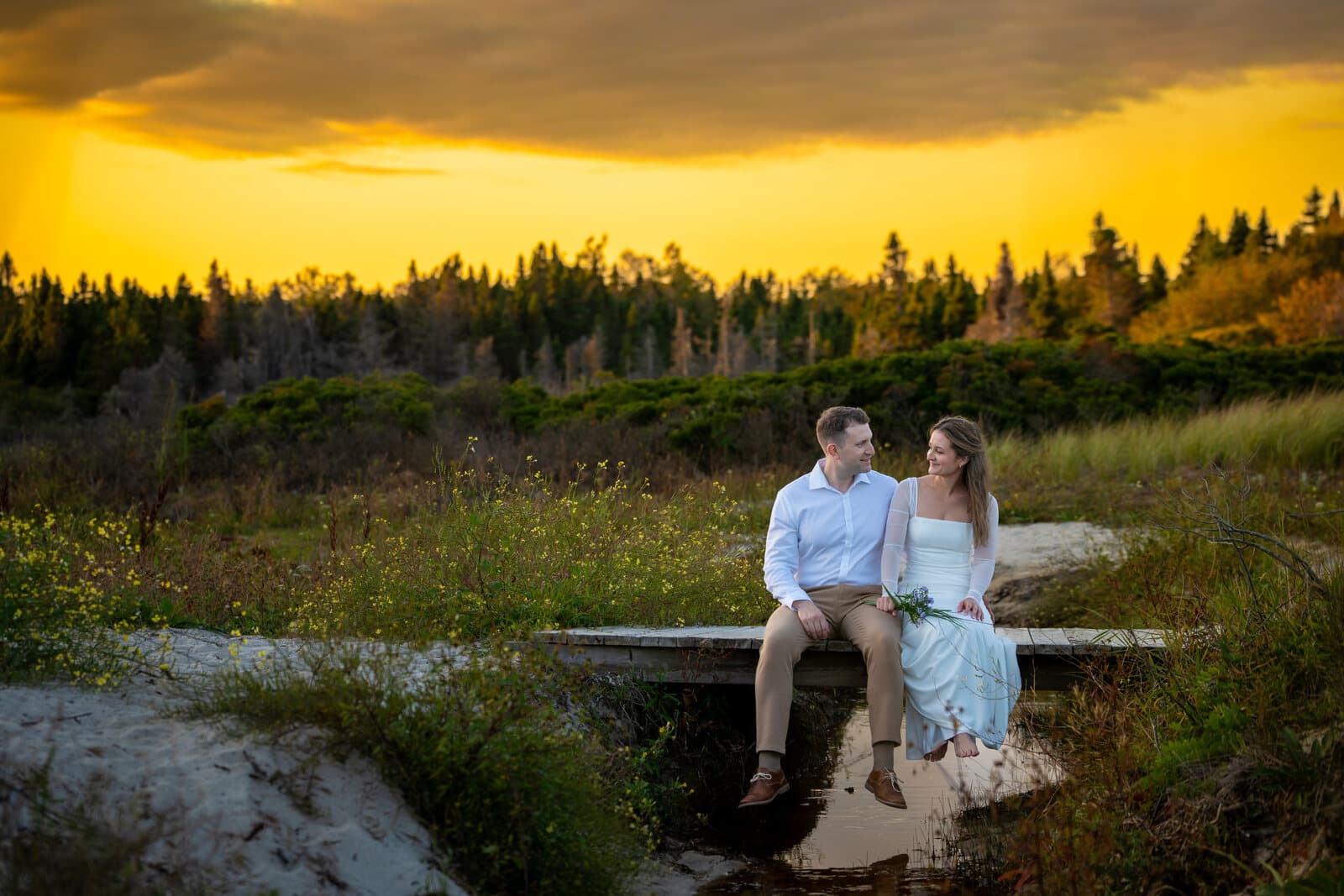 Engagement session in a golden field at sunset, Nova Scotia